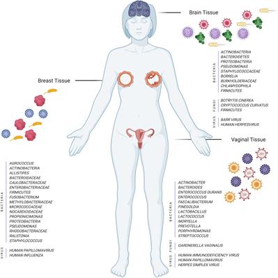 Tissue Microbiome Associated With Human Diseases by Whole Transcriptome Sequencing and 16S Metagenomics